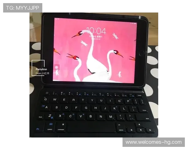 iPad平板游戏专用Mini4性能评测与游戏体验全解析